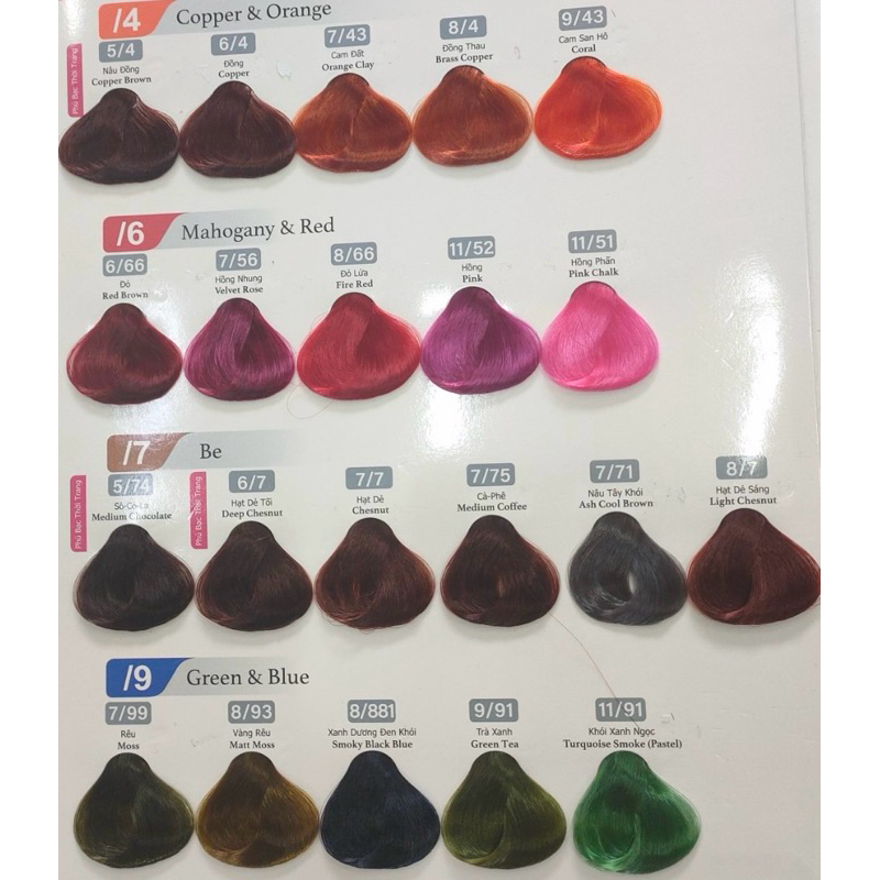 Thuốc nhuộm ZONE 48 màu chuyên nghiệp