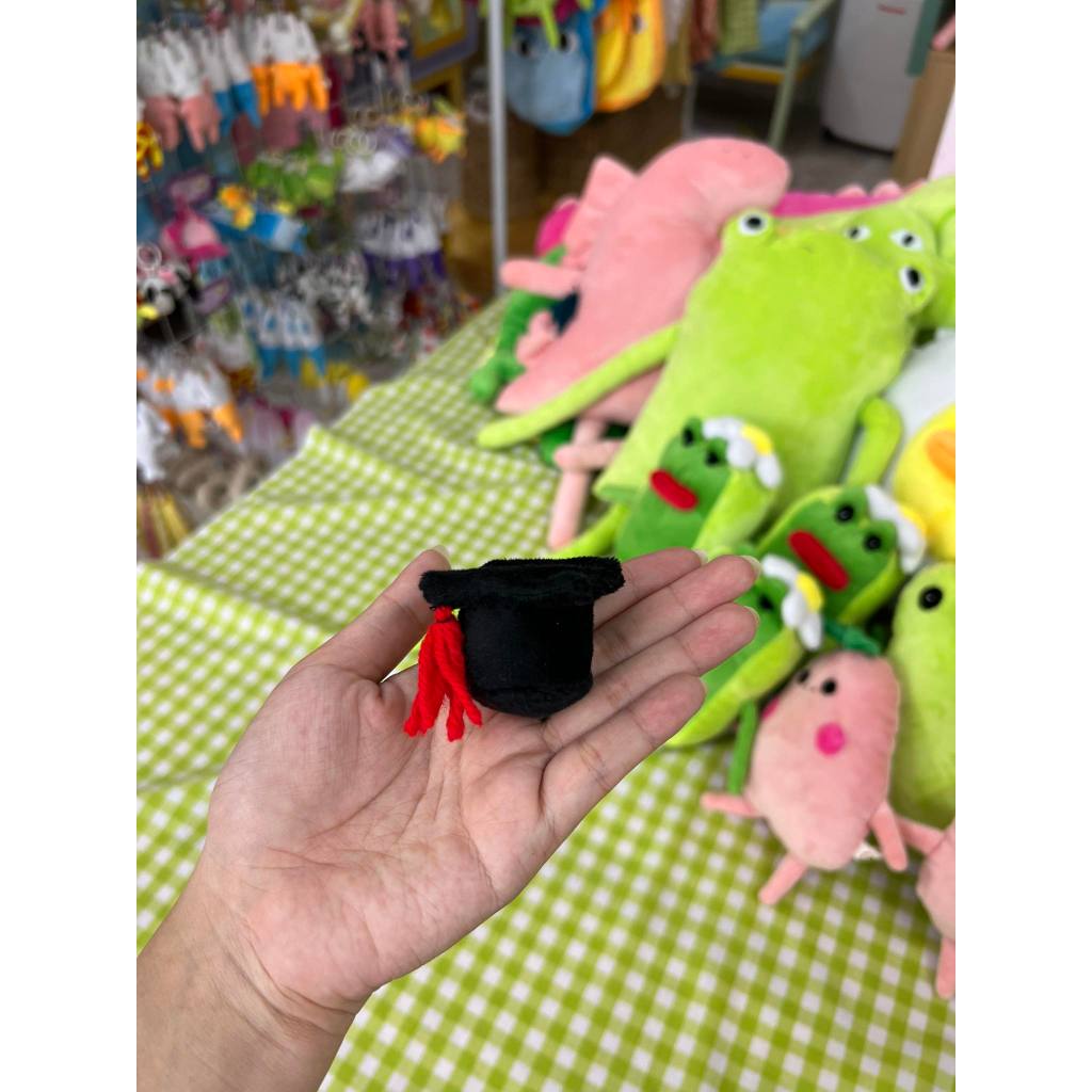 Nón tốt nghiệp - gấu bông đình may
