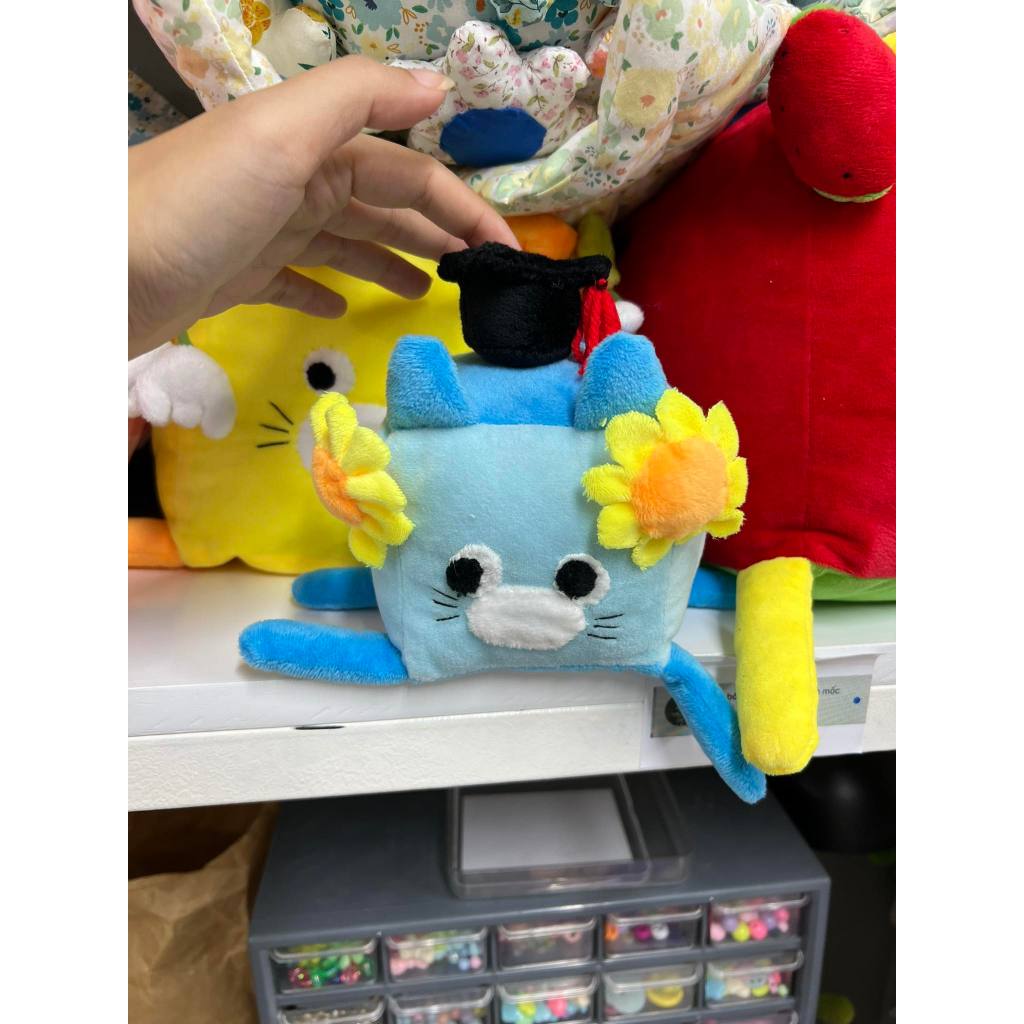 Nón tốt nghiệp - gấu bông đình may