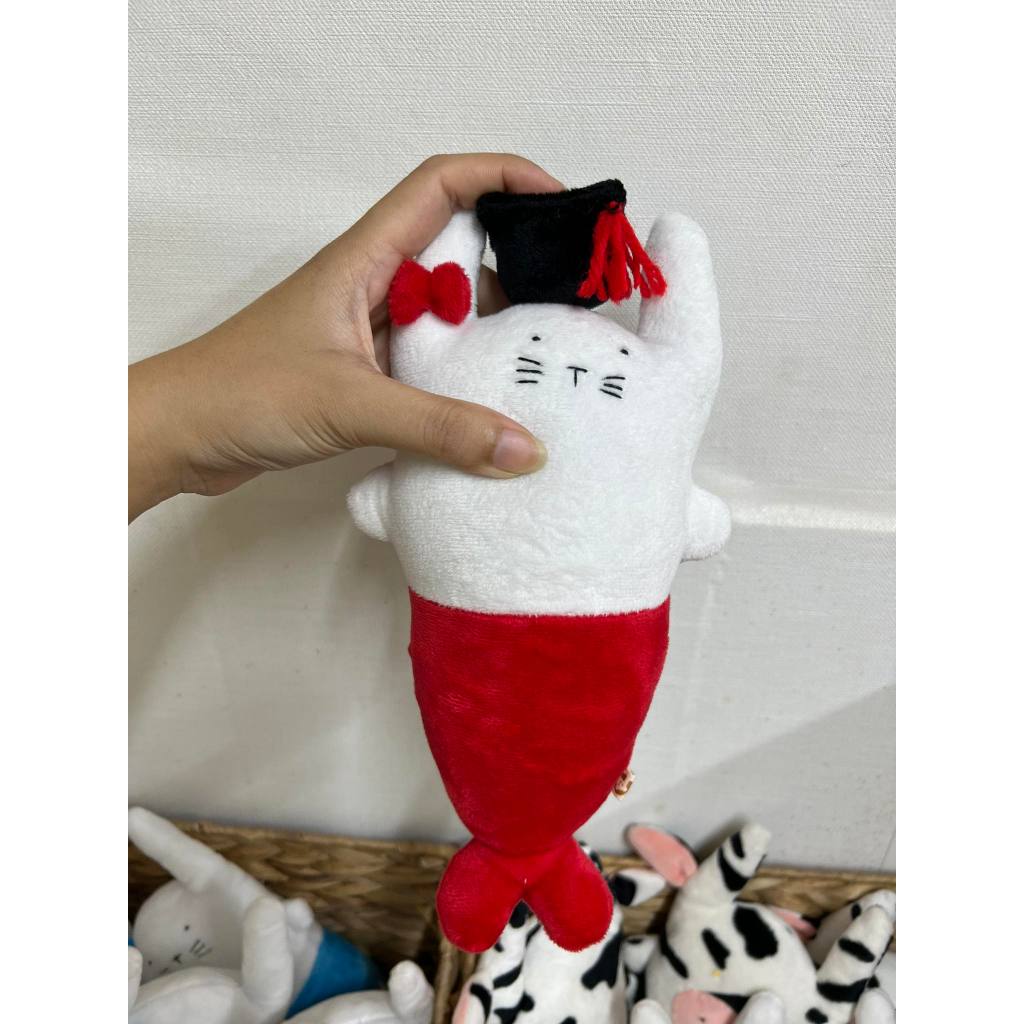 Nón tốt nghiệp - gấu bông đình may