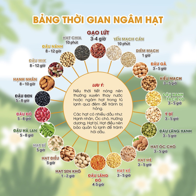 Set hạt làm sữa hạt set .10 gói không trùng vị -50g/gói. sét hạt dinh dưỡng nấu sữa,600-700ml