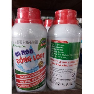 Ra hoa đồng loạt, kích mầm hoa chai 500ml.