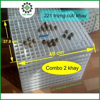 Combo 2 khay trứng nhựa đảo nghiêng ấp trứng chim cút làm máy ấp trứng 221 trứng/ khay CB2KC-221