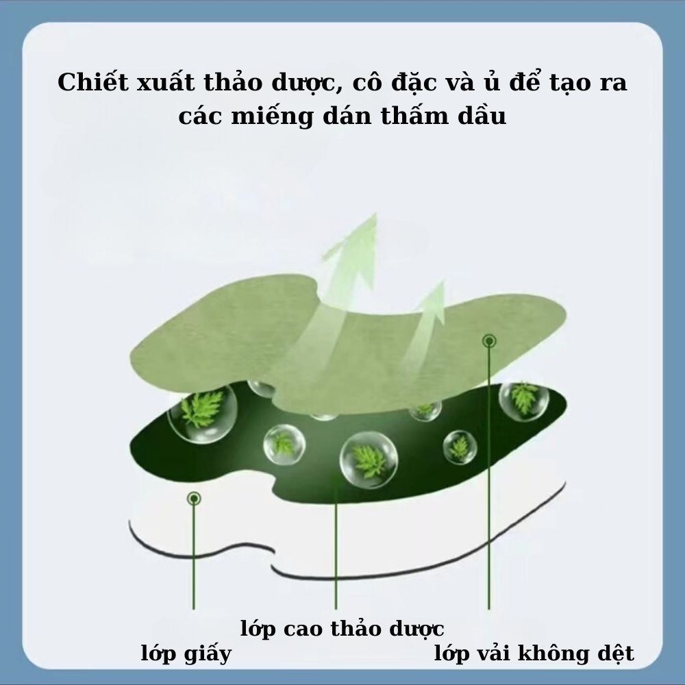 Miếng Dán Tan Mỡ Tấm Thị Đốt Cháy Mỡ Thừa Bụng, Bắp Tay Chân, Miếng Dán Tan Mỡ Thảo Dược Giảm Mỡ Bụng Sau Sinh