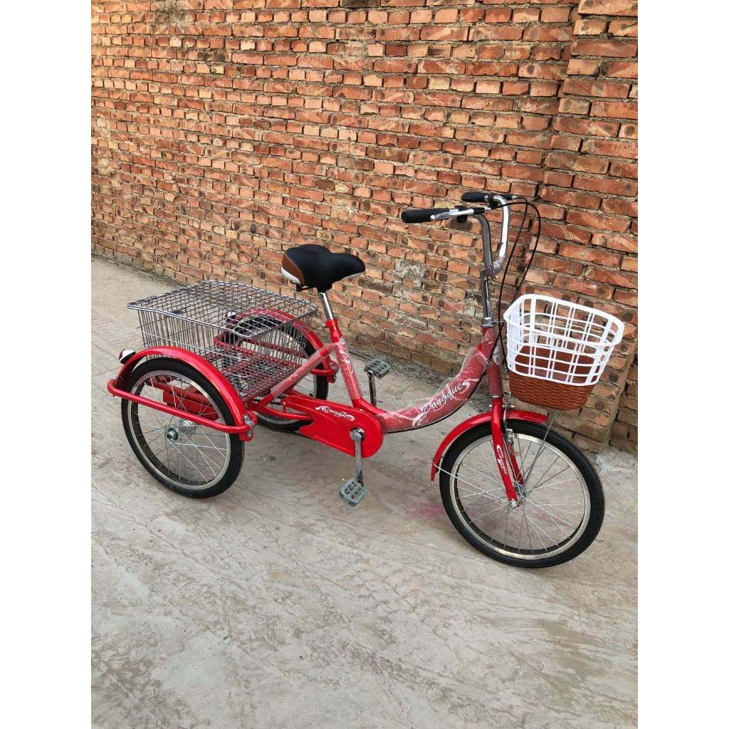 Xe đạp ba bánh người lớn