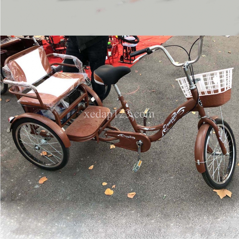 Xe đạp ba bánh người lớn