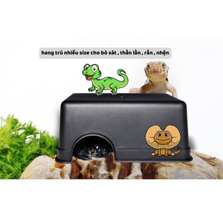 Hang trú cho bò sát, hang trú cho thằn lằn gecko, bọ cạp , lg , nhện...
