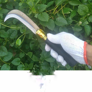 dụng cụ  rửa dừa