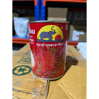 Chôm chôm thái con voi