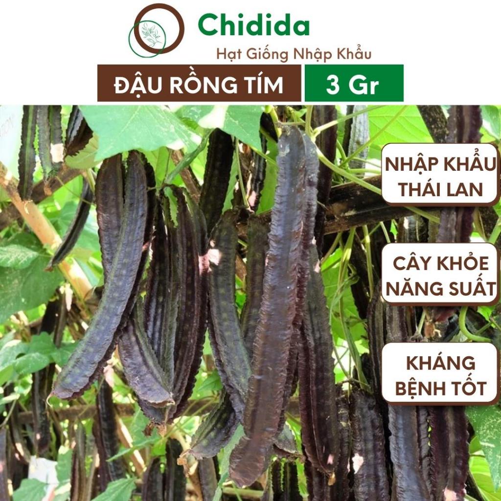 Hạt giống đậu rồng tím Chidida siêu trái chịu nhiệt tốt Thái Lan gói 3g năng suất cao giống chuẩn