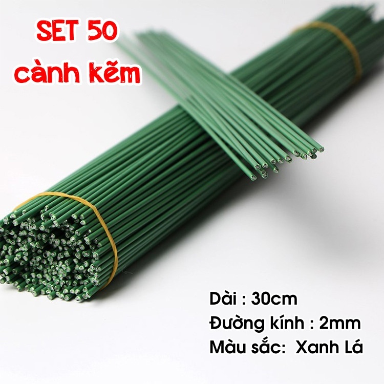 Set 50 Cành kẽm làm hoa handmade dài 30cm Hapi Toys - Kẽm Cành 2mm lõi thép bọc nhựa cắm hoa sáp,hoa giấy