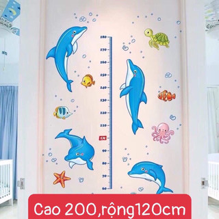 Decal dán tường thước đo cá heo