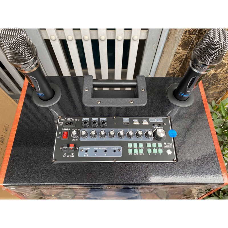 Loa karaoke di động cao cấp AZPro AZ-956