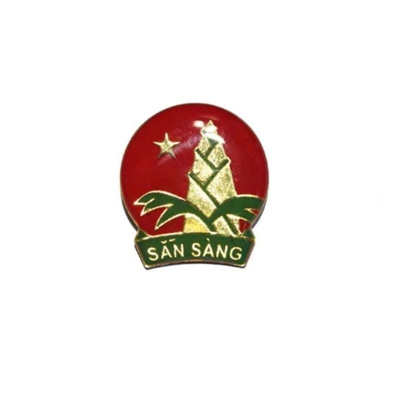 Huy hiệu đoàn / Sổ đoàn / Huy hiệu đội măng non cài áo