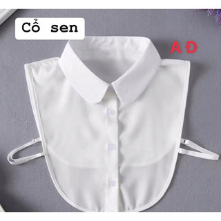 cổ áo sơmi rời