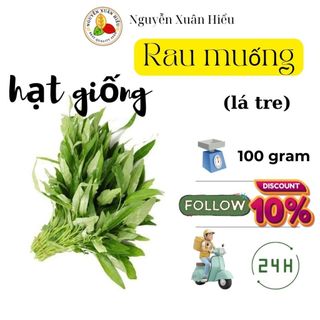 Hạt giống rau muống lá tre_100 gram_ thu hoạch sau 45 - 50 ngày gieo trồng_thu hoạch nhiều đợt