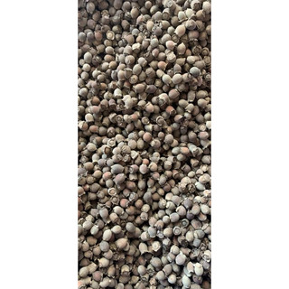 Sim rừng khô ngâm rượu (500g - 1kg )