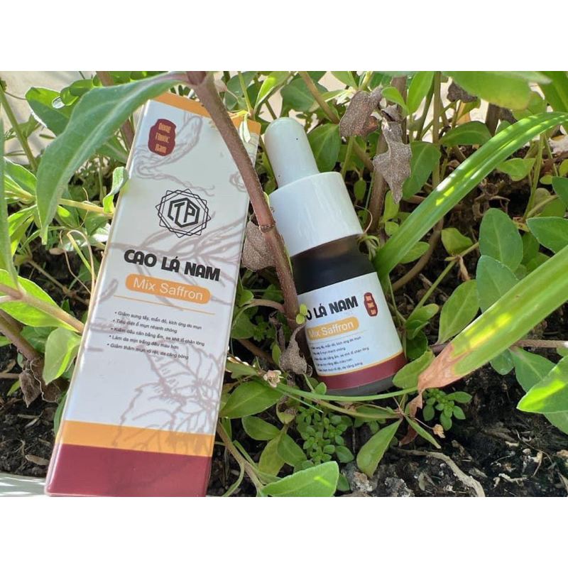 Cao lá nam mix safron thơm râu bắp 5ml  handmade