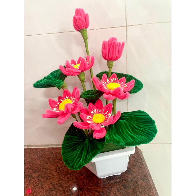 chậu sen kẽm nhung