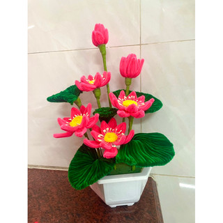 chậu sen kẽm nhung