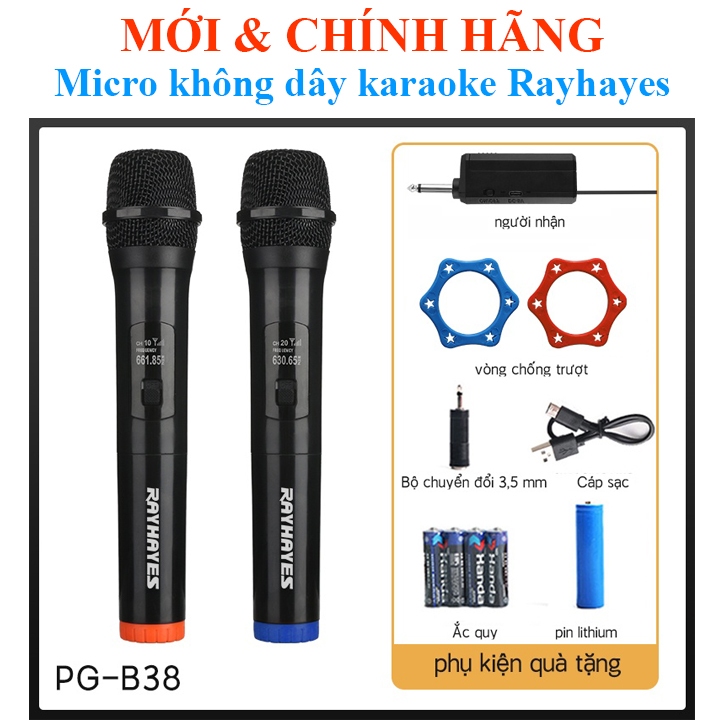 Micro không dây Karaoke Rayhayes RG-238S, RG-238, PG-A38s, PG-A38, RG-b38, RG-b38S