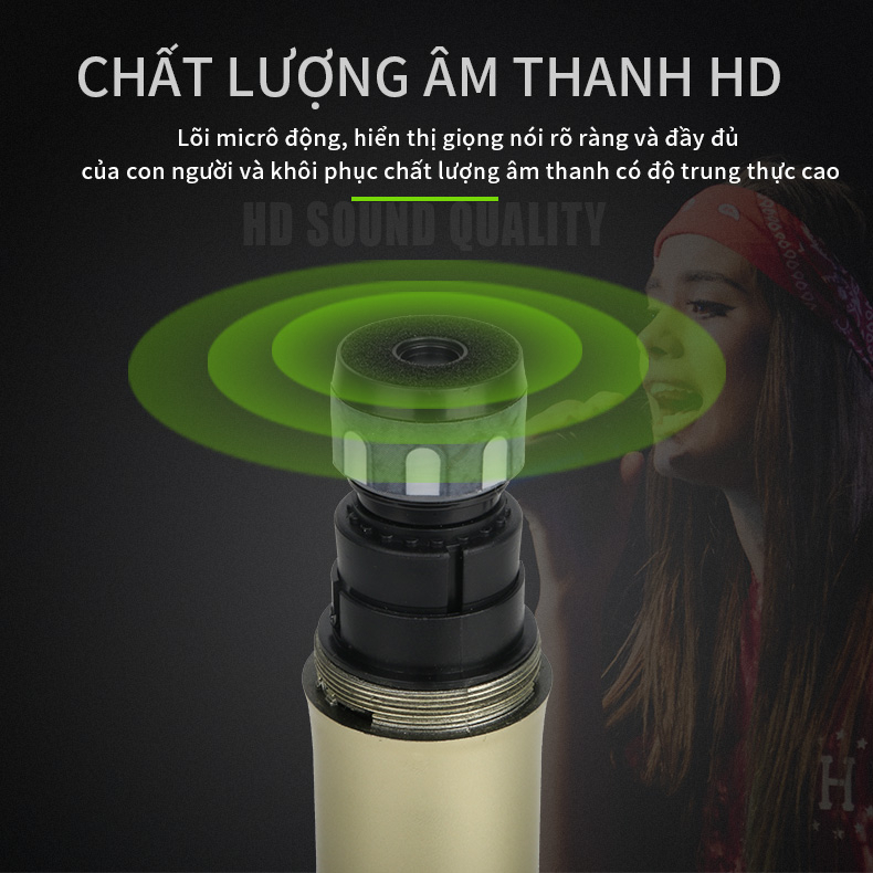 Micro không dây Karaoke Rayhayes RG-238S, RG-238, PG-A38s, PG-A38, RG-b38, RG-b38S