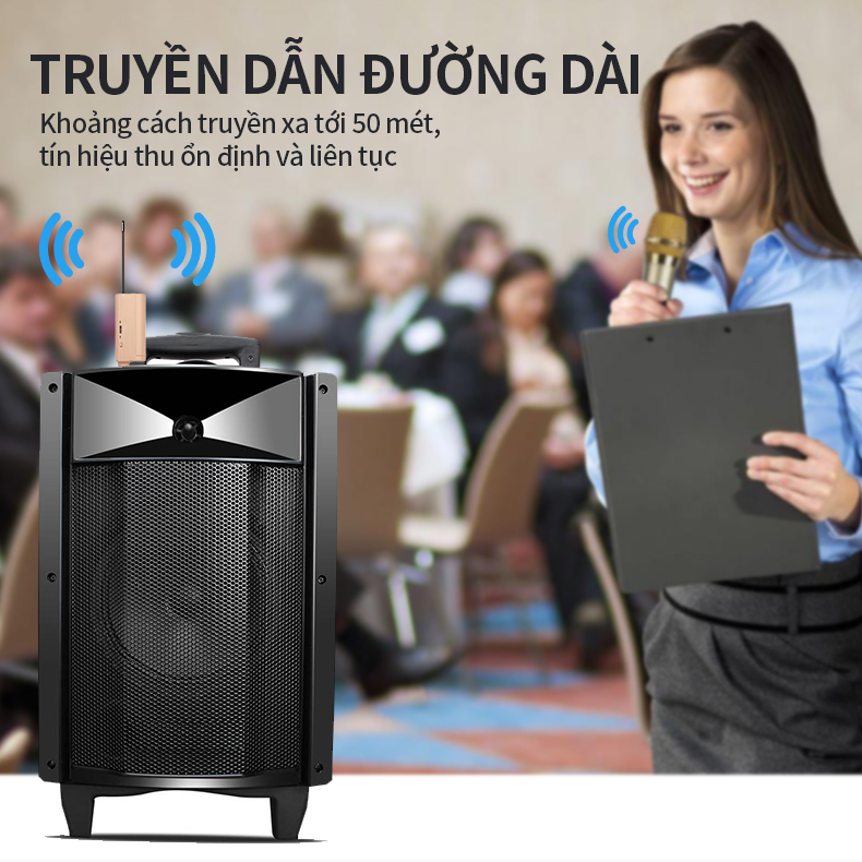 Micro không dây Karaoke Rayhayes RG-238S, RG-238, PG-A38s, PG-A38, RG-b38, RG-b38S
