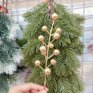 Cành trái đỏ, cành cherry trái giá rẻ