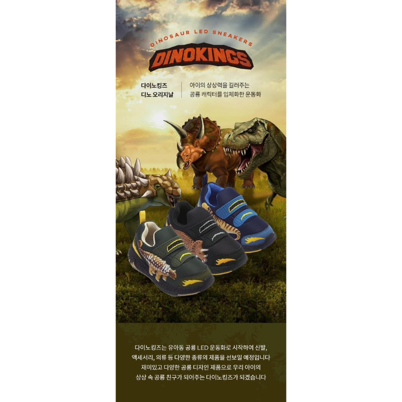 Giày Dinosoles sz 33-20.5cm