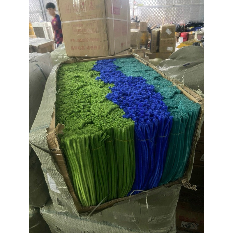 KẼM NHUNG KÀM HOA LOẠI CHUẨN