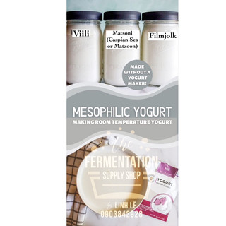 Mesophilic yogurt và dụng cụ nuôi : milk kefir, viili, matsoni men thuần chay sữa hạt,filmjolk