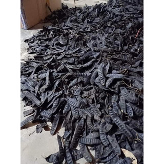1 Kg Quả bồ kết khô chín cây nguyên quả
