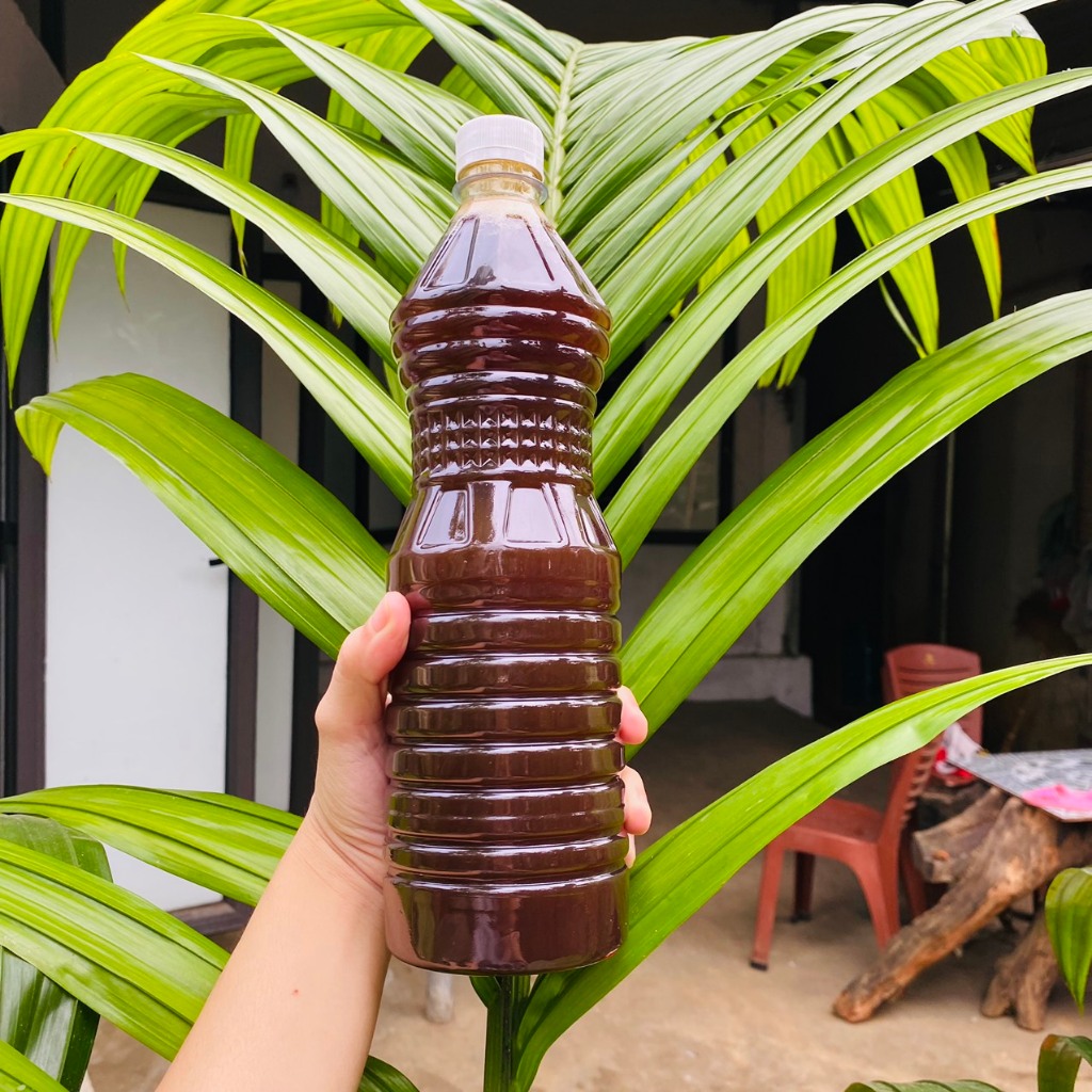 Mật Mía Nguyên Chất Mật Mía Nghệ An Thơm Ngon Sánh Mịn Không Chất Bảo Quản Chai 1000ml
