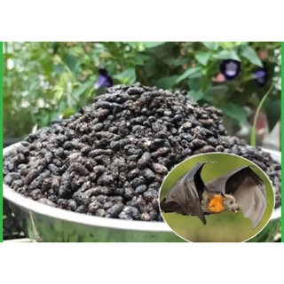1kg phân dơi nguyên chất