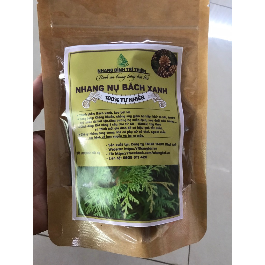 Nhang Nụ Tùng Bách Xanh thơm ngọt Bình Trí Thiện