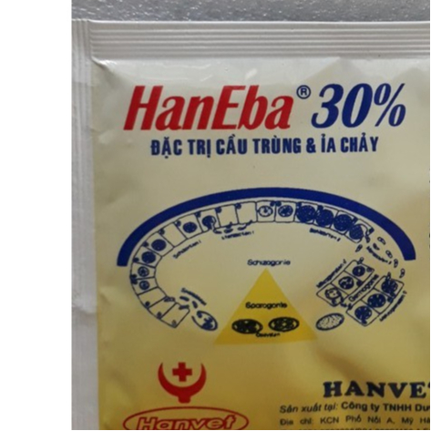 Han Eba 30% 20g
