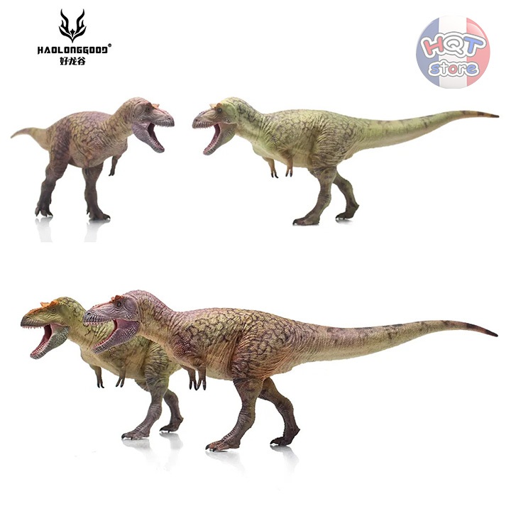 Mô hình Khủng Long Daspletosaurus Torosus Haolonggood tỉ lệ 1/35