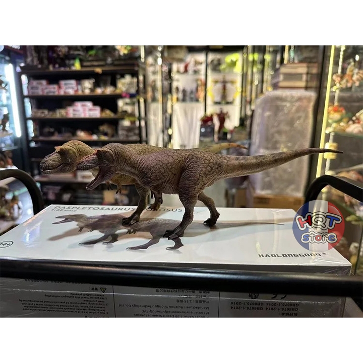 Mô hình Khủng Long Daspletosaurus Torosus Haolonggood tỉ lệ 1/35