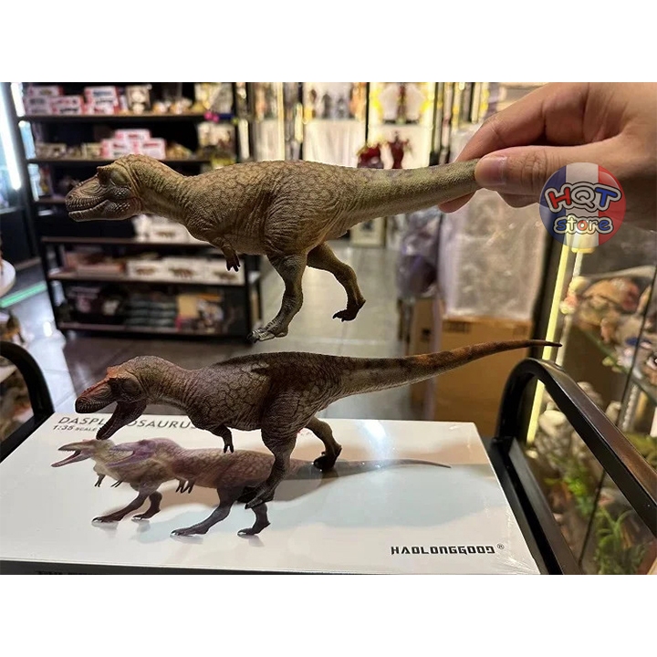 Mô hình Khủng Long Daspletosaurus Torosus Haolonggood tỉ lệ 1/35