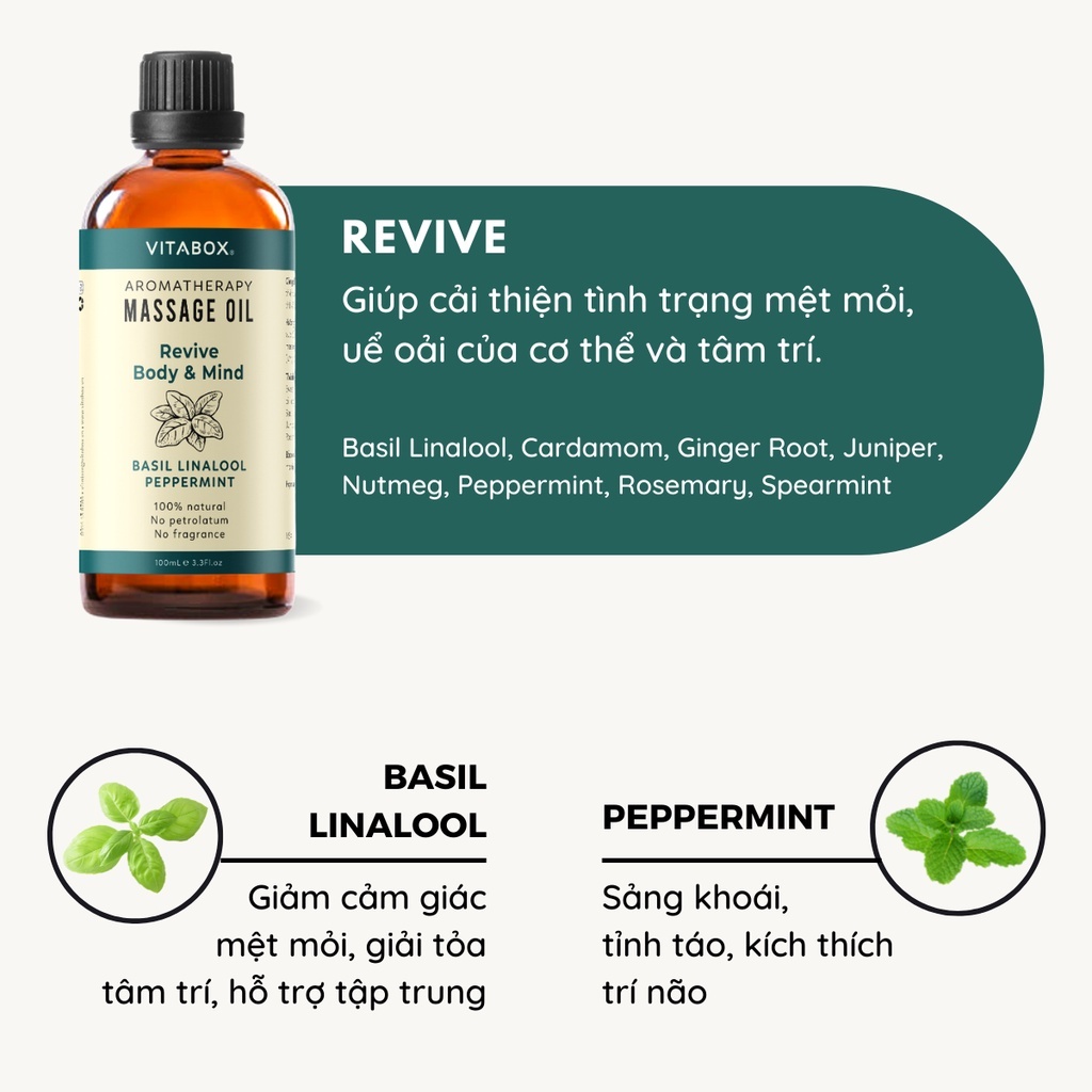 Dầu Massage Body Mát Xa Thư Giãn Cổ Vai Gáy Từ Dầu Nền Và Tinh Dầu Thiên Nhiên VITABOX Aromatherapy Oil