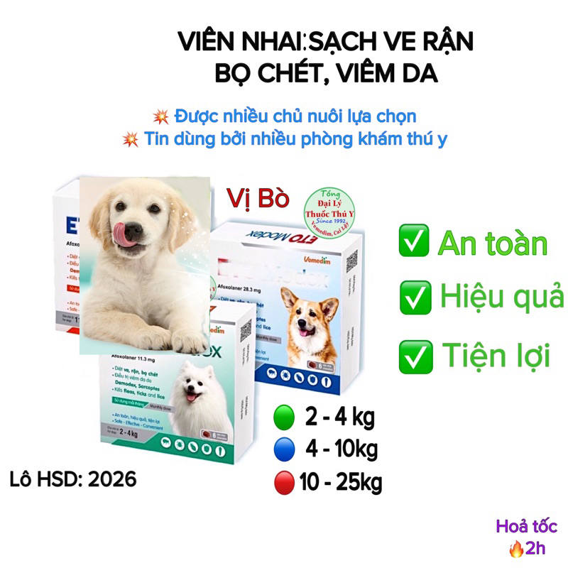 Viên DATE 2026: trừ ve rận, viêm da ở Chó