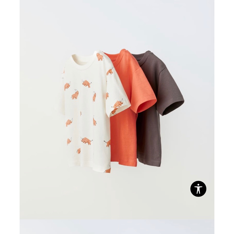 Set 3 áo Zara bé trai size 18-24m, 3-4y