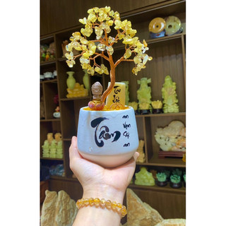 Cây tài lộc thạch anh vàng cao 22cm