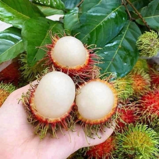 Chôm chôm Thái giòn ngọt 1kg [HCM]