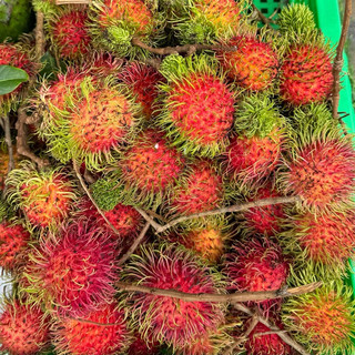 Chôm chôm Thái giòn ngọt 1kg [HCM]