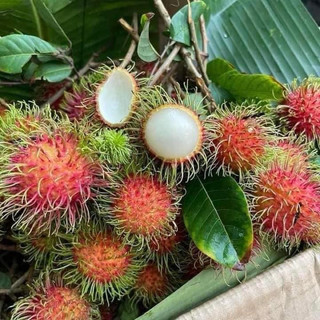 Chôm chôm Thái giòn ngọt 1kg [HCM]