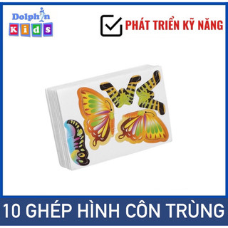 Bộ 10 hình lắp ráp côn trùng 3d cho bé