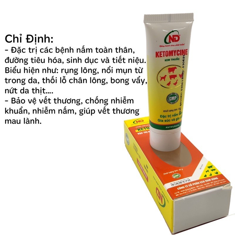 Ketomycin 25g - Kem bôi nấm, vết thương cho cho mèo