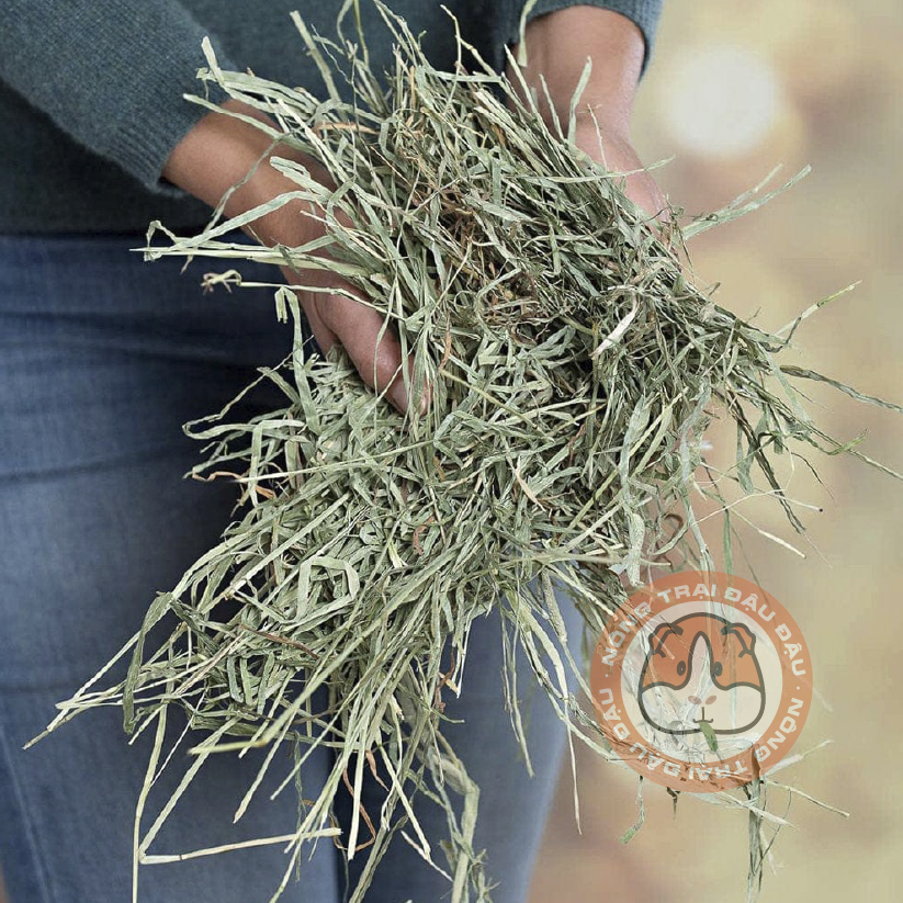 Cỏ Timothy Cho Thỏ, Bọ Ú, Chinchilla Siêu Mềm Timothy 2nd Cut 500g, 1kg