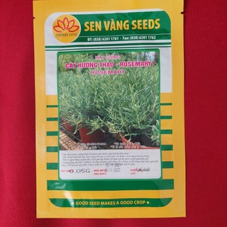 [Giống Rất Thơm] Hạt Giống Hương Thảo Rosemary Thơm Tinh Dầu